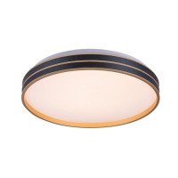 svietidlo Gandor strop. LED 24W 1850lm 3000-6500K kruh 390mm stmievat.s diaľ.ovlád.