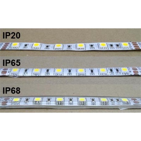 pás LED 2005 5M/300LED 3528 -CW (3,6W) IP20