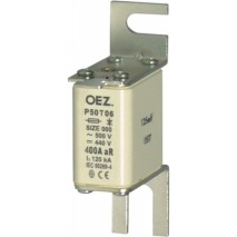 poistka P50T06 80A gR ref.6654